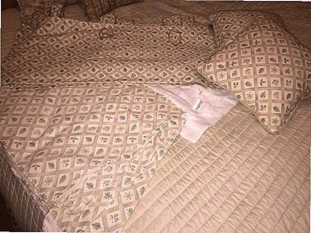 LONGABERGER LATTICE LEAF QUEEN SIZE BEDSKIRT, 2 ACCENT PILLOWS & 2 VALANCES