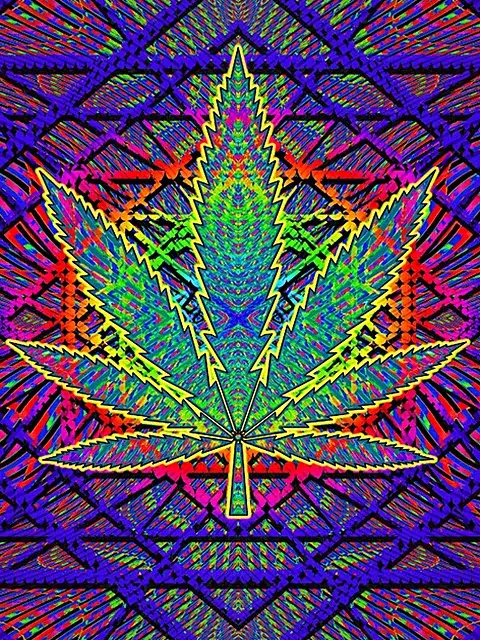 Plush Queen Size Marijuana Blanket - Extremely Soft - Sacred Leaf
